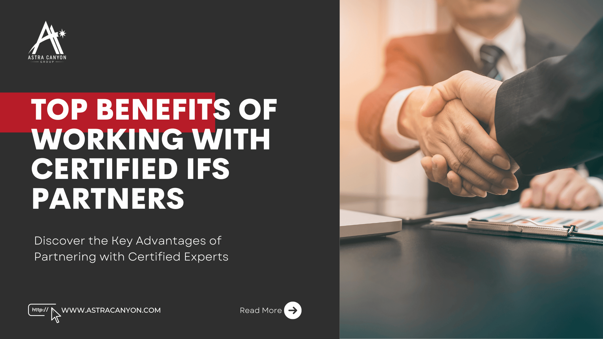 Certified IFS Partners